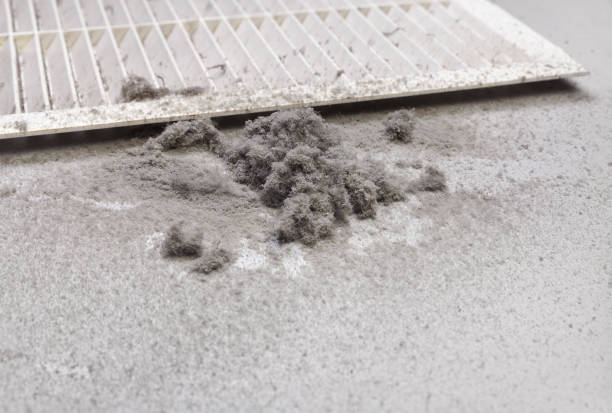 Air Duct Mold Removal in Colstrip, MT